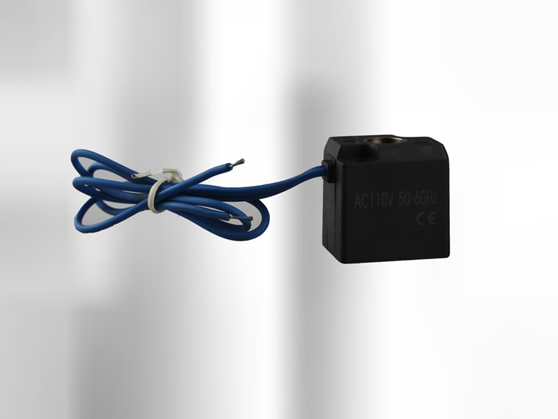 307 coil
